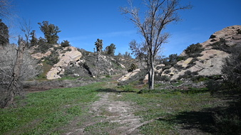 Enlarge photo 26