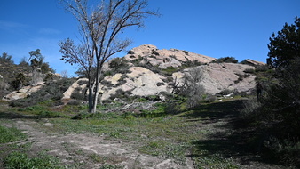 Enlarge photo 27