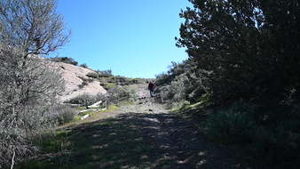 Enlarge photo 28