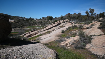 Enlarge photo 32