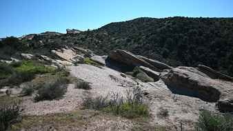 Enlarge photo 35