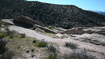 Enlarge photo 36
