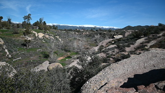 Enlarge photo 40