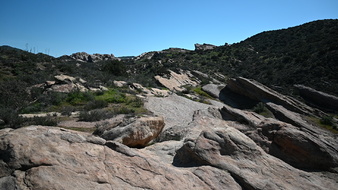 Enlarge photo 41
