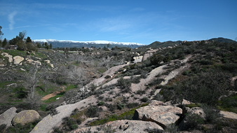 Enlarge photo 42
