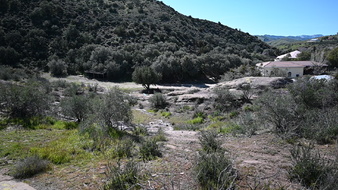 Enlarge photo 44