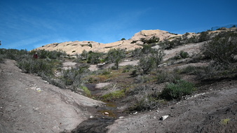 Enlarge photo 45