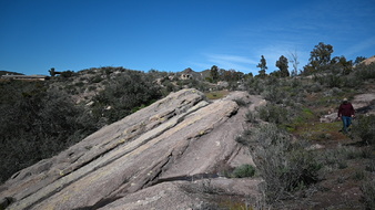 Enlarge photo 46