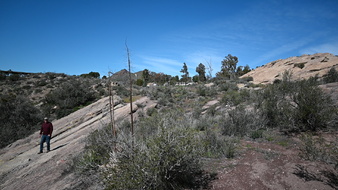 Enlarge photo 47