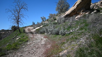 Enlarge photo 50
