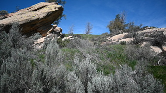 Enlarge photo 51
