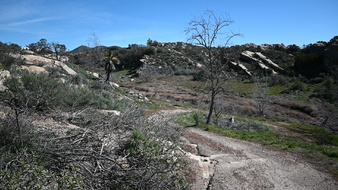 Enlarge photo 53