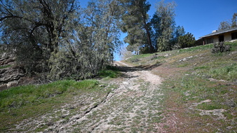 Enlarge photo 54
