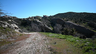Enlarge photo 55