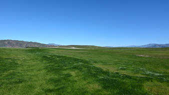 Enlarge photo 19