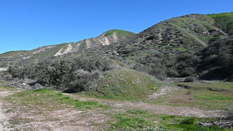 Enlarge photo 2