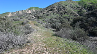 Enlarge photo 4