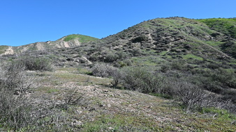 Enlarge photo 7