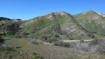 Enlarge photo 10