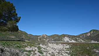 Enlarge photo 9