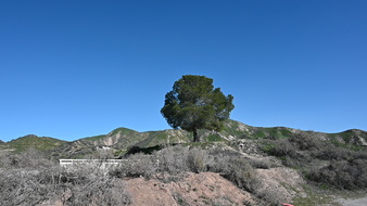 Enlarge photo 11