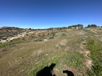 Enlarge photo 4
