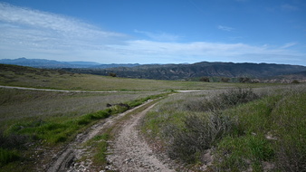 Enlarge photo 6