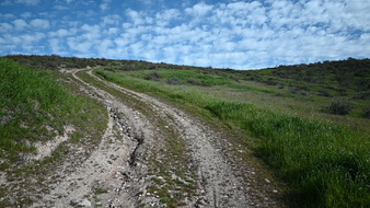 Enlarge photo 7