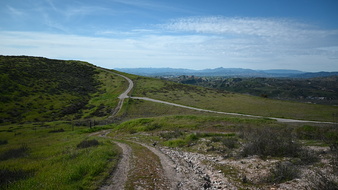 Enlarge photo 9