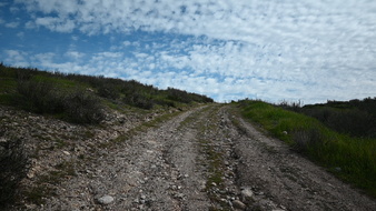 Enlarge photo 20