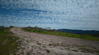 Enlarge photo 22