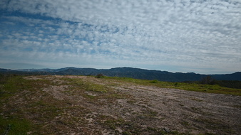 Enlarge photo 25