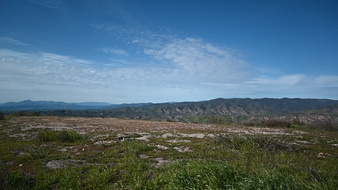Enlarge photo 33