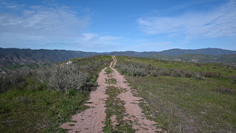 Enlarge photo 38