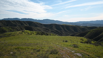 Enlarge photo 39
