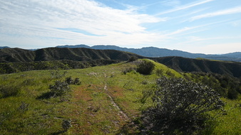 Enlarge photo 40