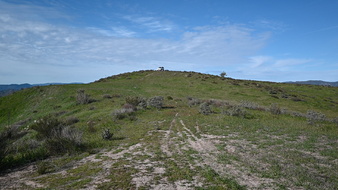 Enlarge photo 41