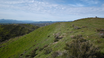 Enlarge photo 42