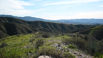 Enlarge photo 43
