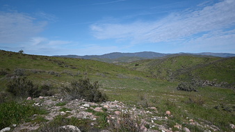 Enlarge photo 44