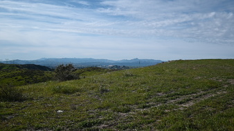 Enlarge photo 45
