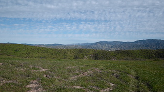 Enlarge photo 46