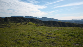 Enlarge photo 47
