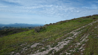 Enlarge photo 48