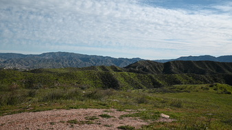 Enlarge photo 50