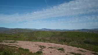 Enlarge photo 51