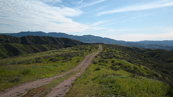 Enlarge photo 52