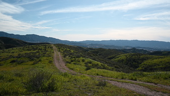 Enlarge photo 53
