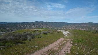 Enlarge photo 54