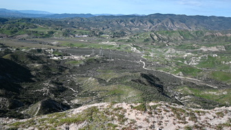 Enlarge photo 61